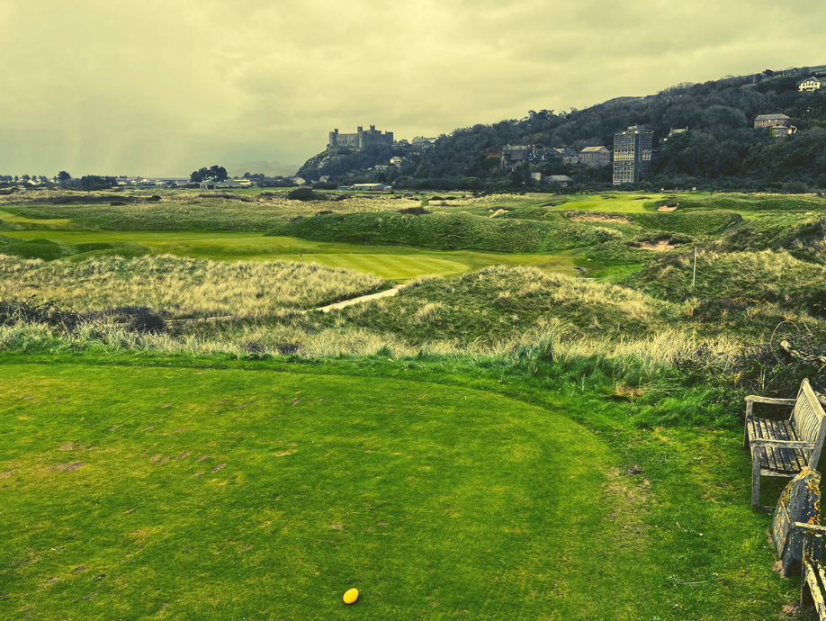 16th tee at royal st davids golf club
