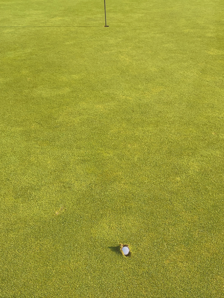 plugged ball on green