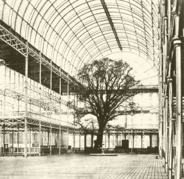 crystal palace great exhibition tree 1851